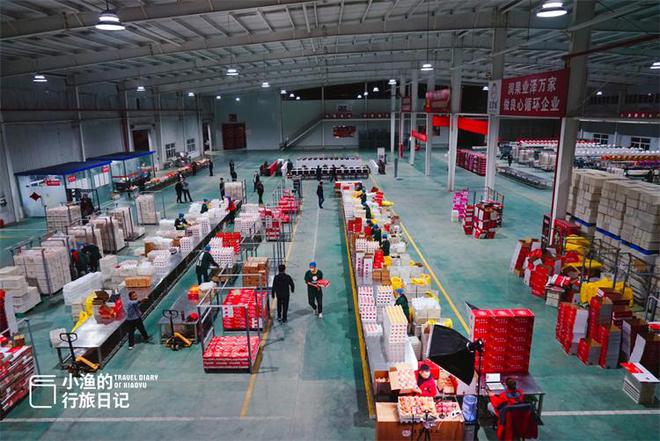 厉害了大陕西!全国水果类品牌价值的榜首,竟是陕西的洛川苹果!