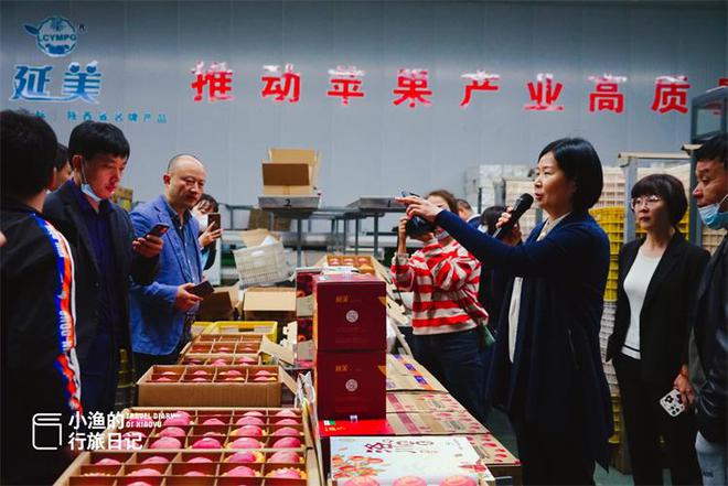 厉害了大陕西!全国水果类品牌价值的榜首,竟是陕西的洛川苹果!
