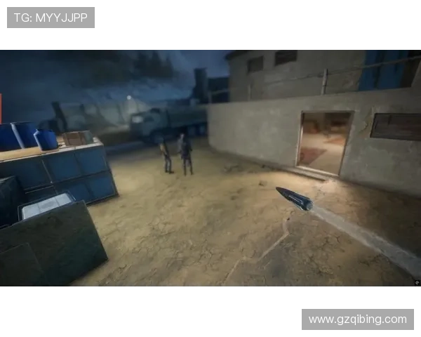 狙击手2：绝密任务中的生死较量与心灵救赎